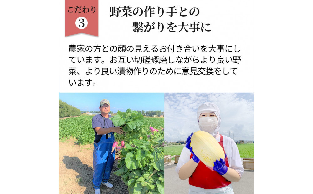 食べきり漬物8品セット