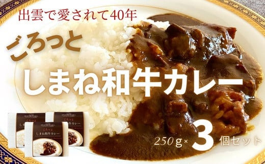 ごろっと しまね和牛カレー    3食セット