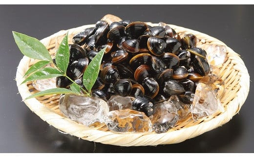 ぷっくり大きな身！食べて美味しい！神西湖産大和しじみ