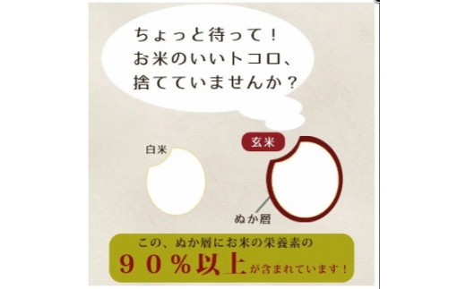 鬟溘∋繧狗アウ縺ャ縺九ヱ繧ヲ繝繝シ縲縺ャ縺九□縺代s100g 3陲九そ繝繝