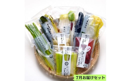 【3か月定期便】出雲漬物 季節の詰合せセット（7～9月）