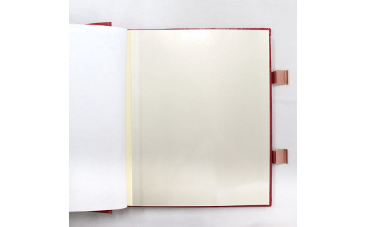 æäœãé«çŽã¢ã«ãã ãããŠã£ã³ã¶ãŒïŒ²ïŒã¬ããïŒã