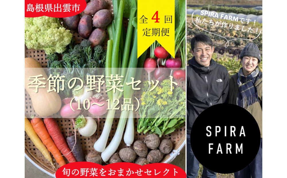 【3か月に1回・全4回定期便】季節の野菜セット10～12品目《栽培期間中 農薬・化学肥料不使用》出雲の旬野菜を季節ごとにお届け［出雲 野菜セット 送料無料 ふるさと納税］