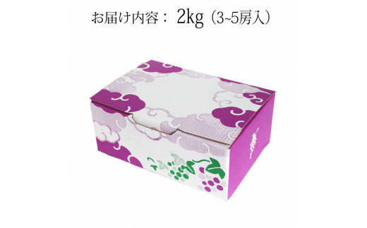 縲2026蟷エ8譛井クュ譌ャ莉・髯咲匱騾√措霎イ螳カ逶エ騾‐蜴ウ驕ク繝悶Λ繝繧ッ繝薙シ繝2kg邂アシ3ス5謌ソシ閏謖∫伐霎イ蝨綻