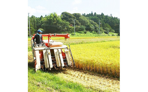 蜃コ髮イ逕」繧ウ繧キ繝偵き繝ェシ5kgシ嘉2陲九→蜃コ髮イ逕」縺阪〓繧縺吶aシ5kgシ嘉1陲