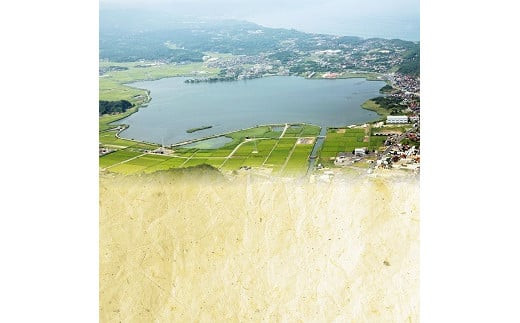 ぷっくり大きな身！食べて美味しい！神西湖産大和しじみ