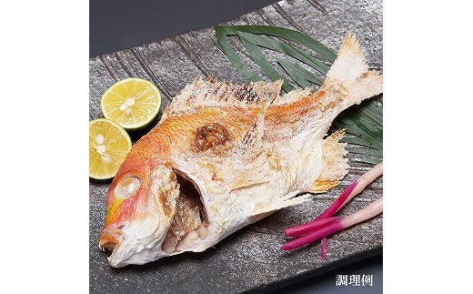 天然釣りレンコ鯛（下処理済）