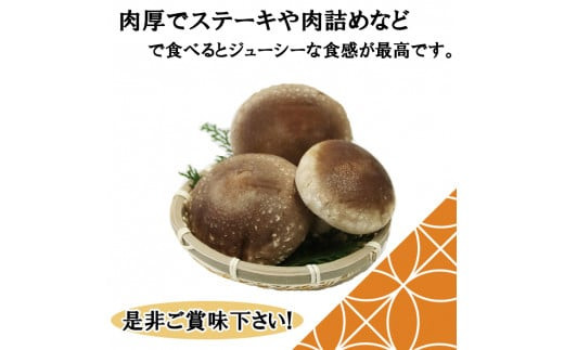 逾槭縺ョ蝗ス縲蜃コ髮イ縺励>縺溘¢繧ク繝」繝ウ繝懃函縺励>縺溘¢隧ー蜷医○