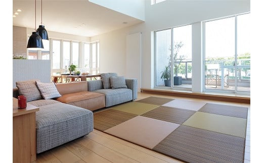 ã»ãã¹ã€ç³ããïŒïŒ©ïŒ§ïŒµïŒ³ïŒ¡ããããã¢ç³ïŒæã»ãã