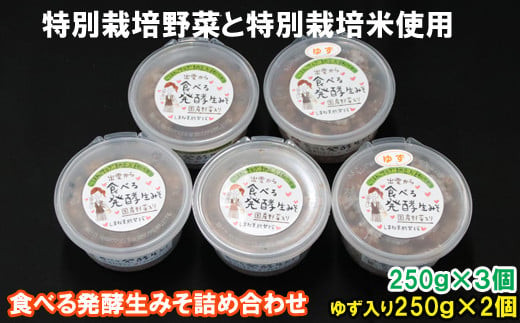 出雲の食べる発酵生みそ詰合せ250ｇ×５個