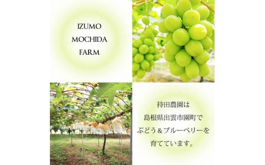 【2026年8月発送】[農家直送]厳選シャインマスカット1.2kg箱（8月出荷）[持田農園]