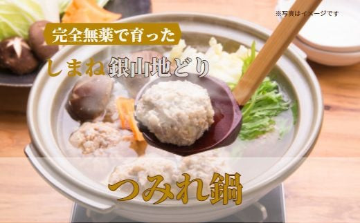 完全無薬で育った 銀山地どりの『つみれ鍋』4～5人前