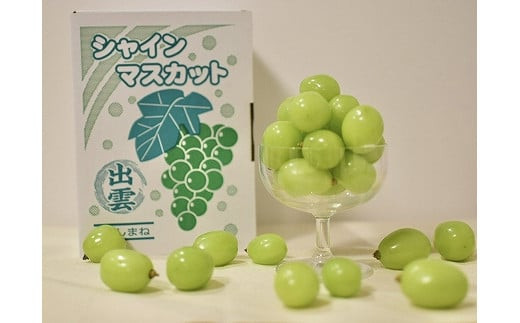 【2026年7月下旬以降発送】いずもぶどう 訳ありシャインマスカット（粒っこ）1kg見当 新鮮 甘い フルーツ 果物