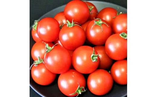 【定期便3回】出雲から希トマトジュース5本セットを毎月お届け！