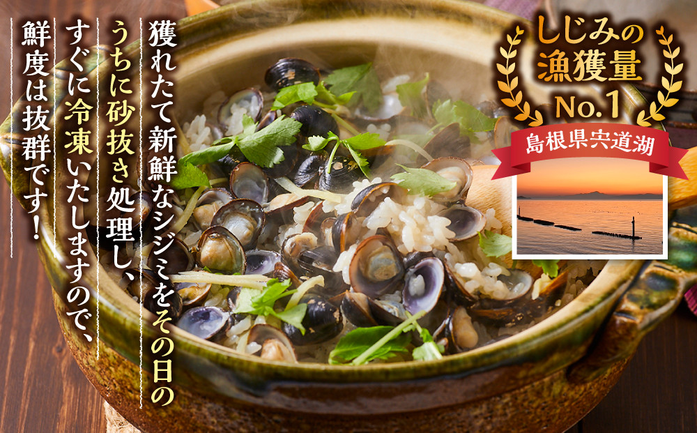 漁師直送！宍道湖産ヤマトシジミ・Mサイズ冷凍2.4kg