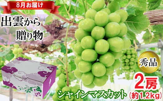 【2026年8月発送】[農家直送]厳選シャインマスカット1.2kg箱（8月出荷）[持田農園]
