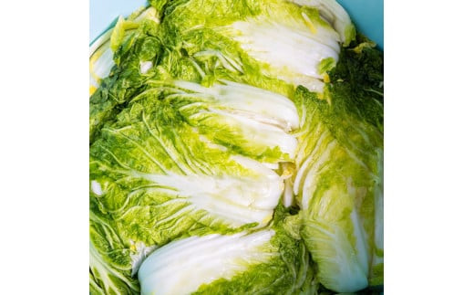 【2026年4月～9月お届け】季節限定　春夏おすすめ漬物７品セット