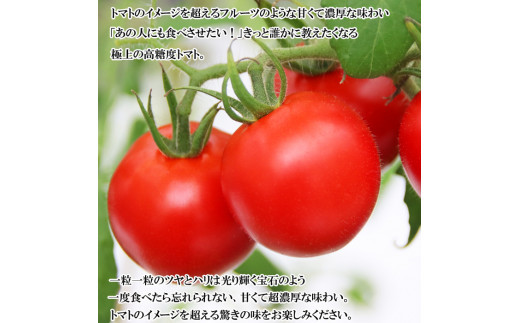 蜃コ髮イ縺ョ蝨九°繧峨ョ雍医j迚ゥス槭ヨ繝槭ヨ繧定カ縺医◆雜繝医槭ヨシ談g