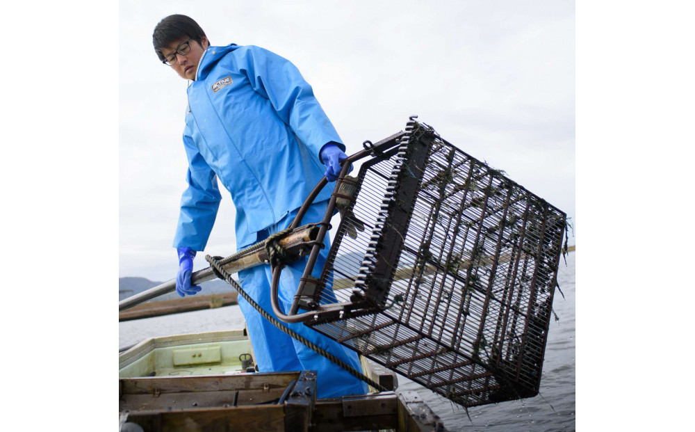 たっぷりエキスの特大しじみ！島根県宍道湖産大和しじみ砂抜き済み