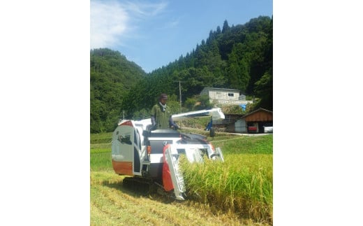 出雲市佐田町産きぬむすめ 「一升家族」（白米5.5kg）【1-295】