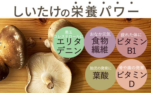 ぬかっち 食べる米ぬか パウダー 120g×4種セット (米糠、小豆、大豆、椎茸)【1-298】
