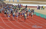 ふるさと出雲のスポーツ振興に資する事業