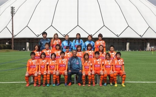 プロスポーツ化支援