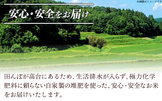 【定期便 6か月】食味鑑定士厳選　島根こしひかり 5kg（5kg×1袋）【白米 コシヒカリ 令和7年産 精米 島根県 安来市】【100-UF-07】