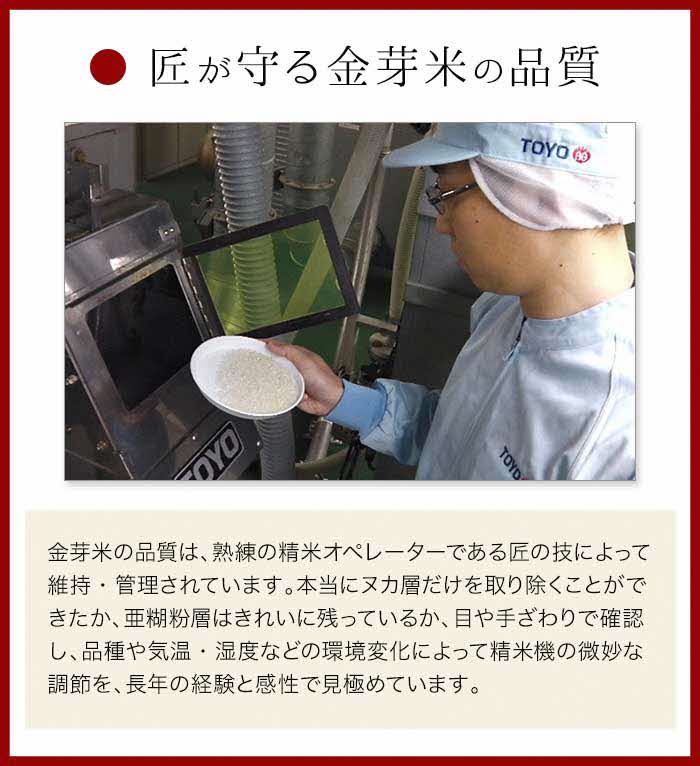 【定期便】BG無洗米・金芽米きぬむすめ 5kg×3ヵ月  （毎月）計量カップなし【令和7年産 3ヶ月 計15kg 東洋ライス 健康 島根県 安来市】【価格改定X】