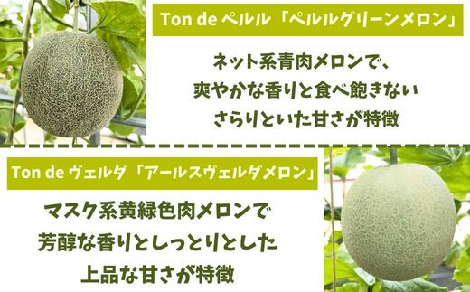 Ton de メロン 1玉【ペルルグリーンメロン アールスヴェルダメロン フルーツ 果物 美味しい 甘い 芳醇 しっとり 上品 旬 ご褒美 ギフト 贈り物 ご自宅用 安来 島根県 安来市】【10-FA-04】