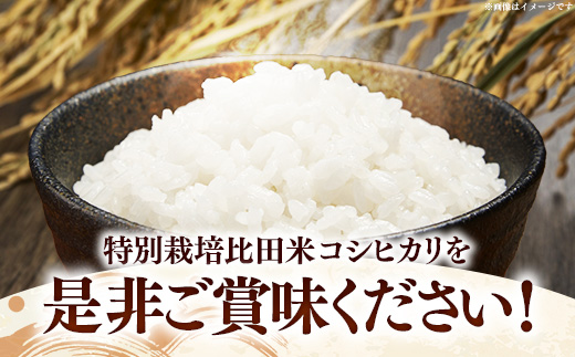 比田米 特別栽培コシヒカリ(精米)5kg【令和7年産 米 お米 こしひかり ごはん ご飯 有機肥料 国産 お弁当 美味しい 人気 おすすめ 島根県産 島根県 安来市】