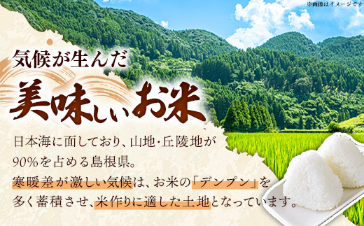 比田米 コシヒカリ(精米)5kg×6回 定期便【令和7年産 米 お米 こしひかり ごはん ご飯 国産 お弁当 美味しい 人気 おすすめ 島根県産 島根県 安来市】【価格変更】【90-EC-41】