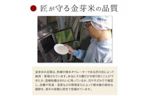 【定期便】BG無洗米・金芽米にこまる 5kg×3ヵ月（毎月）計量カップ無し【令和7年産 3ヶ月 時短 健康 米 BG 無洗米 計15kg 島根県産 節水 時短 アウトドア キャンプ 東洋ライス 健康 島根県 安来市】【価格改定XA】【45-SS-59-2】