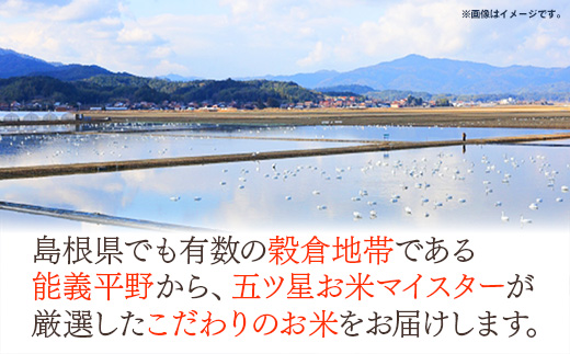【定期便】五ツ星お米マイスター厳選 能義平野のきぬむすめ 5kg×6ヵ月 【令和7年産 ５KG 6ヶ月 毎月 計30kg 精米 白米 ご飯 お米 美味しい 安心 安全 沼田米穀店 島根県 安来市】【85-NB-11】