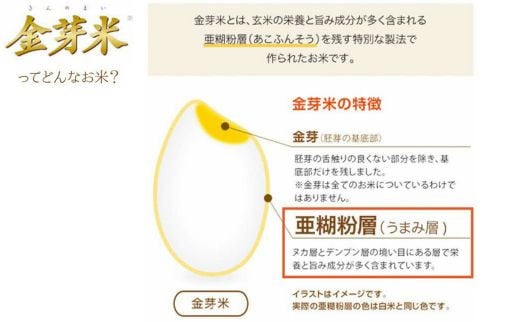 【定期便】BG無洗米・金芽米きぬむすめ 2kg×3回 （隔月）【令和7年産 2ヶ月に1回 配送 3回 計6kg 半年間 6ヶ月 島根県産 健康 節水 時短 アウトドア キャンプ 東洋ライス おすすめ 島根県 安来市】【21-SS-74】