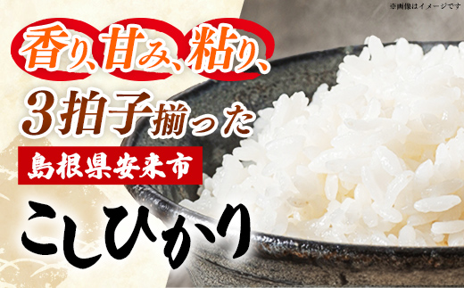 【定期便 6か月】食味鑑定士厳選　島根こしひかり 5kg（5kg×1袋）【白米 コシヒカリ 令和7年産 精米 島根県 安来市】【100-UF-07】