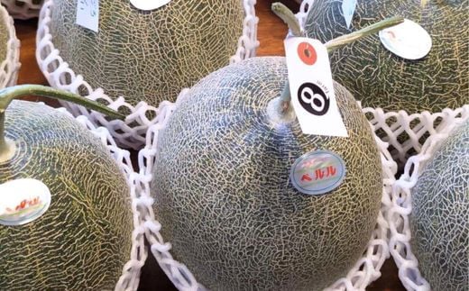 Ton de メロン 1玉【ペルルグリーンメロン アールスヴェルダメロン フルーツ 果物 美味しい 甘い 芳醇 しっとり 上品 旬 ご褒美 ギフト 贈り物 ご自宅用 安来 島根県 安来市】【10-FA-04】