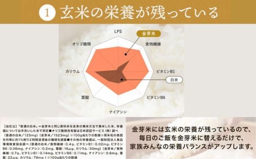 【定期便】BG無洗米・金芽米にこまる 2kg×3回 （隔月）【令和7年産 2ヶ月に1回 配送 計6kg 半年間 6ヶ月 島根県産 健康 節水 時短 アウトドア キャンプ 東洋ライス おすすめ 島根県 安来市】【21-SS-75】