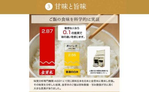 【定期便】BG無洗米・金芽米きぬむすめ 2kg×3回 （隔月）【令和7年産 2ヶ月に1回 配送 3回 計6kg 半年間 6ヶ月 島根県産 健康 節水 時短 アウトドア キャンプ 東洋ライス おすすめ 島根県 安来市】【21-SS-74】