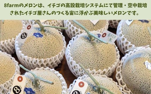 Ton de メロン 1玉【ペルルグリーンメロン アールスヴェルダメロン フルーツ 果物 美味しい 甘い 芳醇 しっとり 上品 旬 ご褒美 ギフト 贈り物 ご自宅用 安来 島根県 安来市】【10-FA-04】