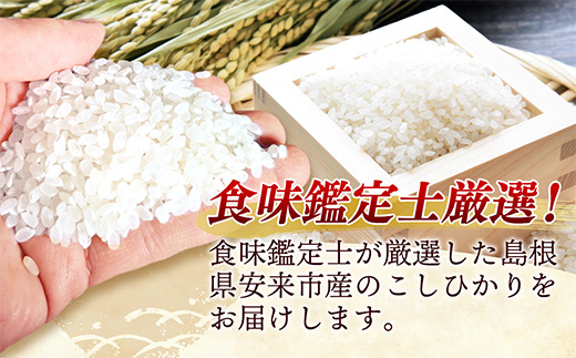 【定期便 6か月】食味鑑定士厳選　島根こしひかり 5kg（5kg×1袋）【白米 コシヒカリ 令和7年産 精米 島根県 安来市】【100-UF-07】