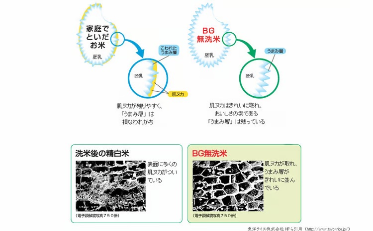 BG無洗米コシヒカリ 5kg×3回 定期便【隔月】【令和7年産 2ヶ月に1回 配送 6ヶ月 計15kg 半年間 島根県産 愛を米 米 こしひかり 新生活応援 お試し 節水 時短 アウトドア キャンプ 東洋ライス おすすめ 島根県 安来市】【45-SS-16】
