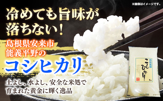 五ツ星お米マイスター厳選 能義平野のコシヒカリ 5kg 【令和7年産 精米 白米 ご飯 お米 こしひかり 美味しい 安心 安全 沼田米穀店 島根県 安来市】【15-NB-07】