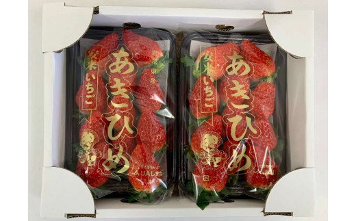いちご 章姫 2パックセット［島根県安来産　完熟いちご］【 先行予約 受付 完熟 苺 イチゴ 島根県産 甘い 人気 特産品 高級 フルーツ デザート 】