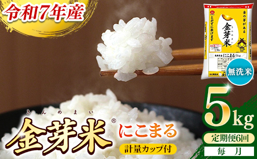 【定期便】BG無洗米・金芽米にこまる 5kg×6ヵ月 （毎月）計量カップ付き【令和7年産 6ヶ月 計30kg 東洋ライス 健康 島根県 安来市】