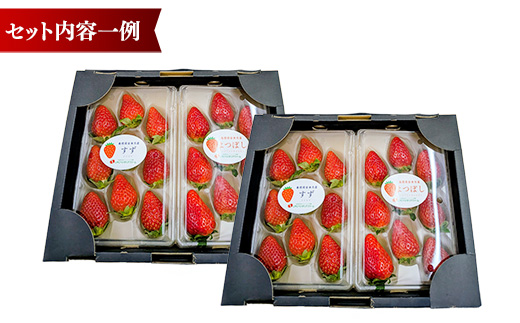 農場長厳選の美味しいいちご 1000g【250g×4パック 苺 詰め合わせ 厳選 フルーツ 果物 かおり野 紅ほっぺ よつぼし スターナイト すず 甘味 セット 化粧箱 島根県 安来市 安来市産】