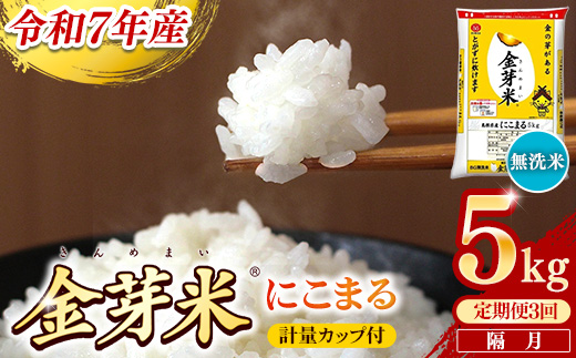 【定期便】BG無洗米・金芽米にこまる 5kg×3回 （隔月）計量カップ付き【和7年産 2ヶ月に1回 6ヶ月 計15kg 東洋ライス 健康 島根県 安来市】