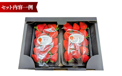 農場長厳選の美味しいいちご 500g【250g×2パック 苺 詰め合わせ いちご イチゴ 果物 フルーツ 甘味 甘酸っぱい かおり野 紅ほっぺ よつぼし スターナイト すず おやつ 島根県 安来市産 安来市】