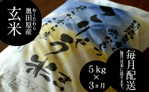 【定期便】安来のお米 こりゃう米（まい）玄米 5kg×3回（毎月）令和5年産