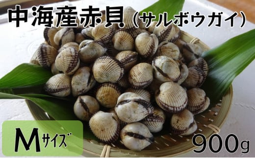 中海産赤貝（サルボウガイ）Ｍサイズ 900g【赤貝 中海産 貝 ぷりぷり 濃厚 料理 おつまみ 調理しやすい 養殖 おいしい おすすめ 送料無料 島根県 安来市】